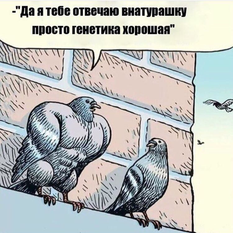 Sterostore.xyz -  Магазин низких цен. - Бодибилдинг форум AnabolicShops
