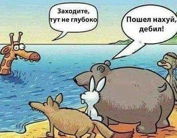 TED в гостях у Мишки - Бодибилдинг форум AnabolicShops
