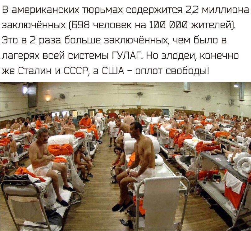 TED в гостях у Мишки - Бодибилдинг форум AnabolicShops