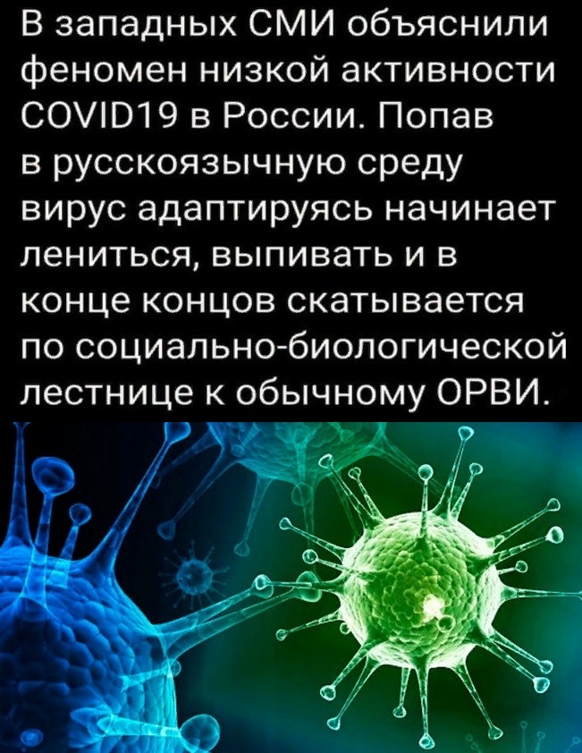 GerthShop.la - магазин спортивной фармакологии N1! - Бодибилдинг форум AnabolicShops
