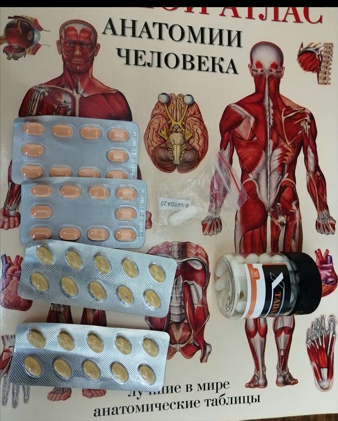 Genetrip Market - Всё для потенции, секса и пкт! - Бодибилдинг форум AnabolicShops