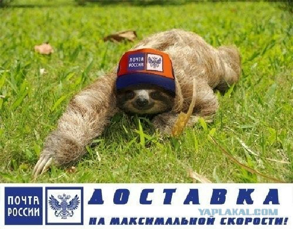 Братья Паркеры поздравляют всех Вас с Новым Годом! С 27 дек по 7 янв - нерабочие дни! - Бодибилдинг форум AnabolicShops