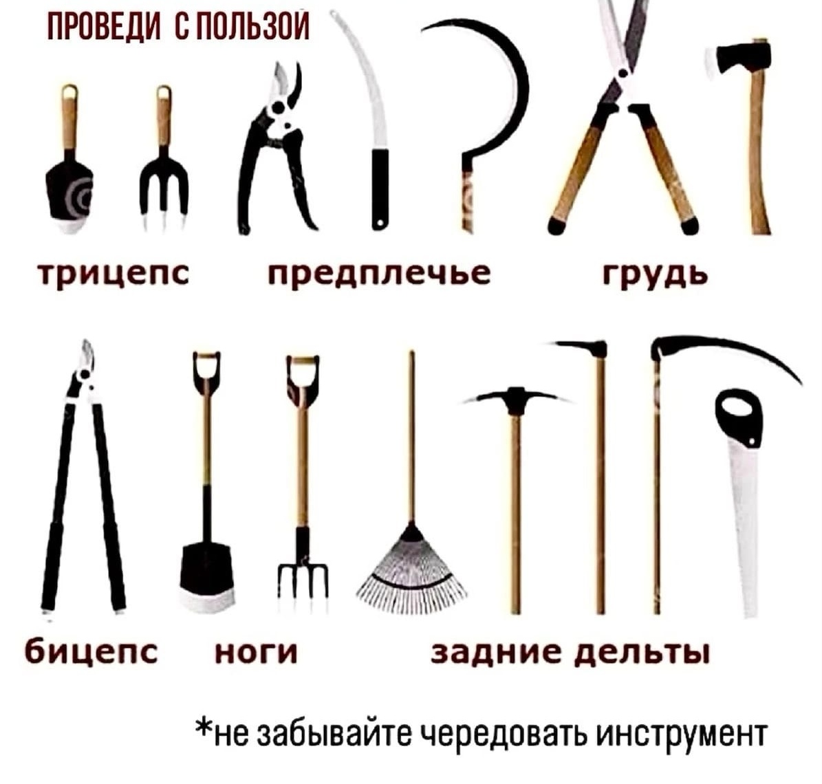 RoidTeam - Дистрибьютор Hilma Biocare и HGH Marten в России - Бодибилдинг форум AnabolicShops